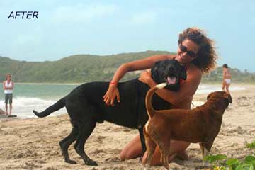 St Lucia kitesurfing helps rescue animals